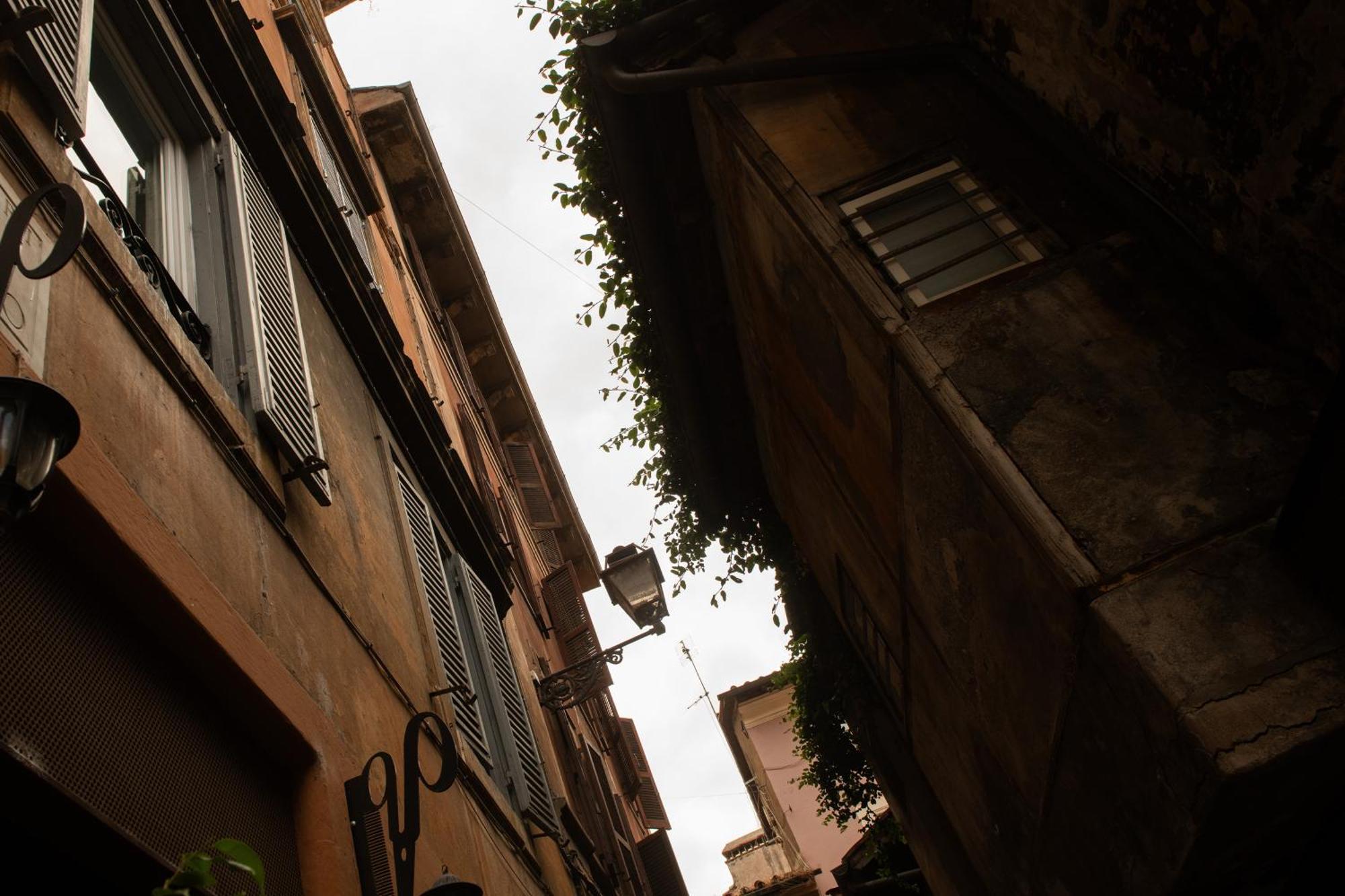 Colosseum View Accomodation ローマ エクステリア 写真