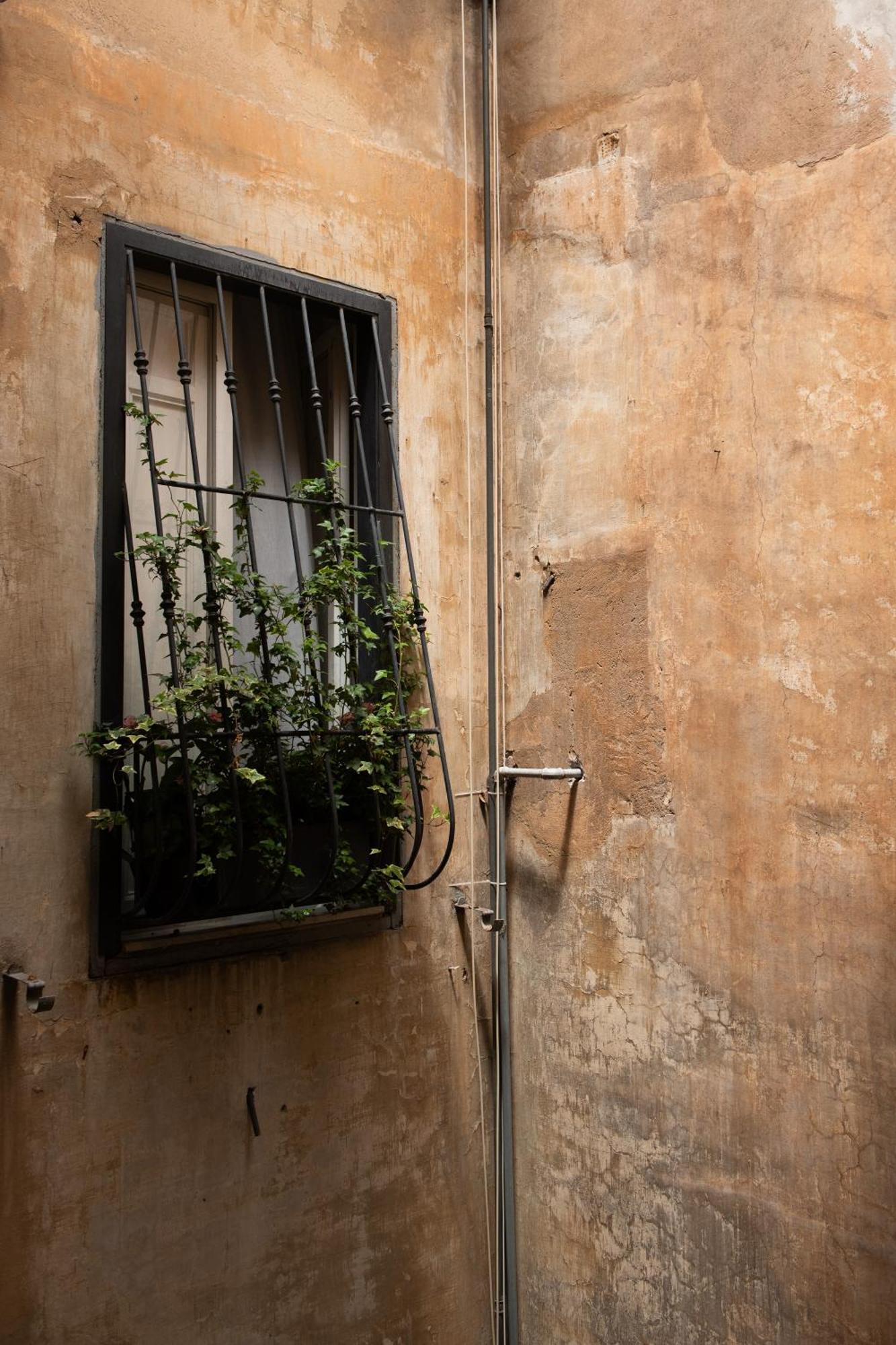 Colosseum View Accomodation ローマ エクステリア 写真